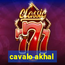 cavalo akhal-teke a venda no brasil cavalo akhal teke no